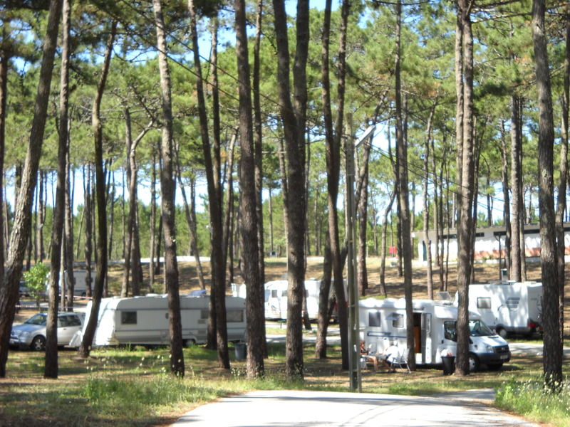 Orbitur Valado Bungalows - Caravan Park Nazaré Eksteriør billede