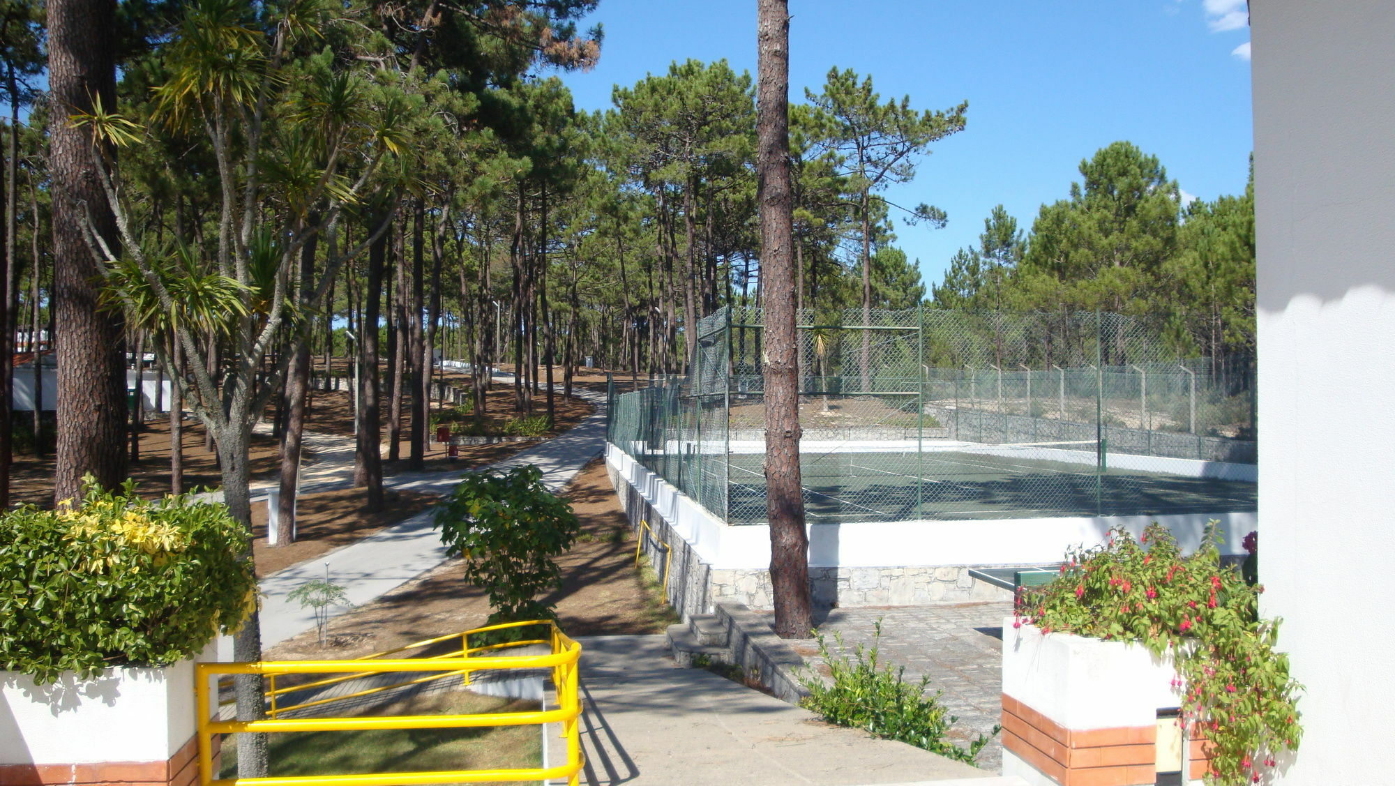 Orbitur Valado Bungalows - Caravan Park Nazaré Eksteriør billede